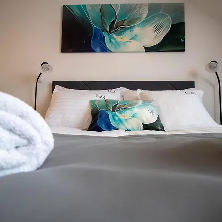 Levendula Vendeghaz Apartment Boldogkovaralja