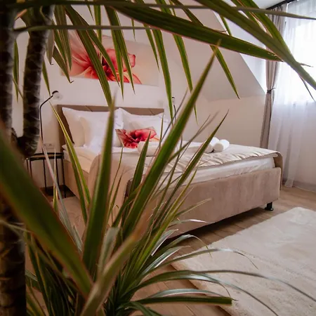 Levendula Vendeghaz Apartment Boldogkovaralja
